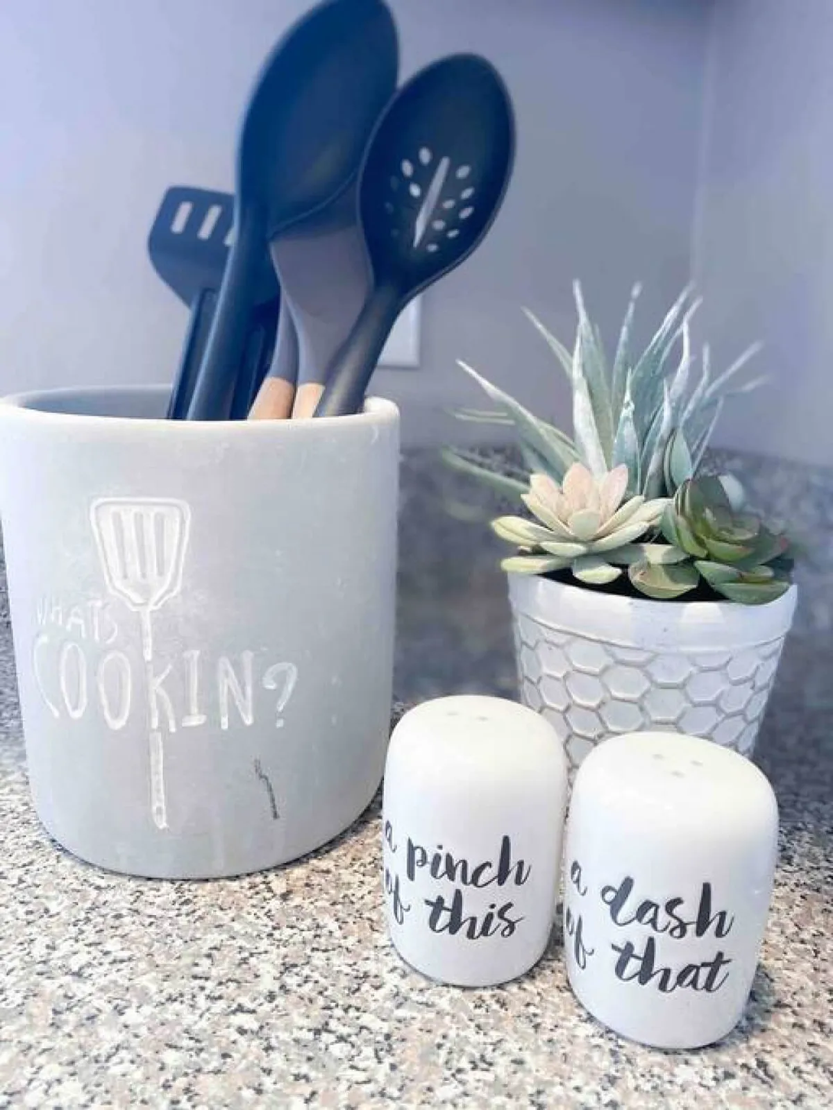 A cheerful interior kitchen close-up focusing on utensils, a succulent plant, and salt and pepper shakers on a countertop, evoking a sense of home cooking and shared meals.